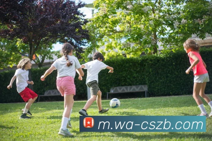 多媒体互动体验